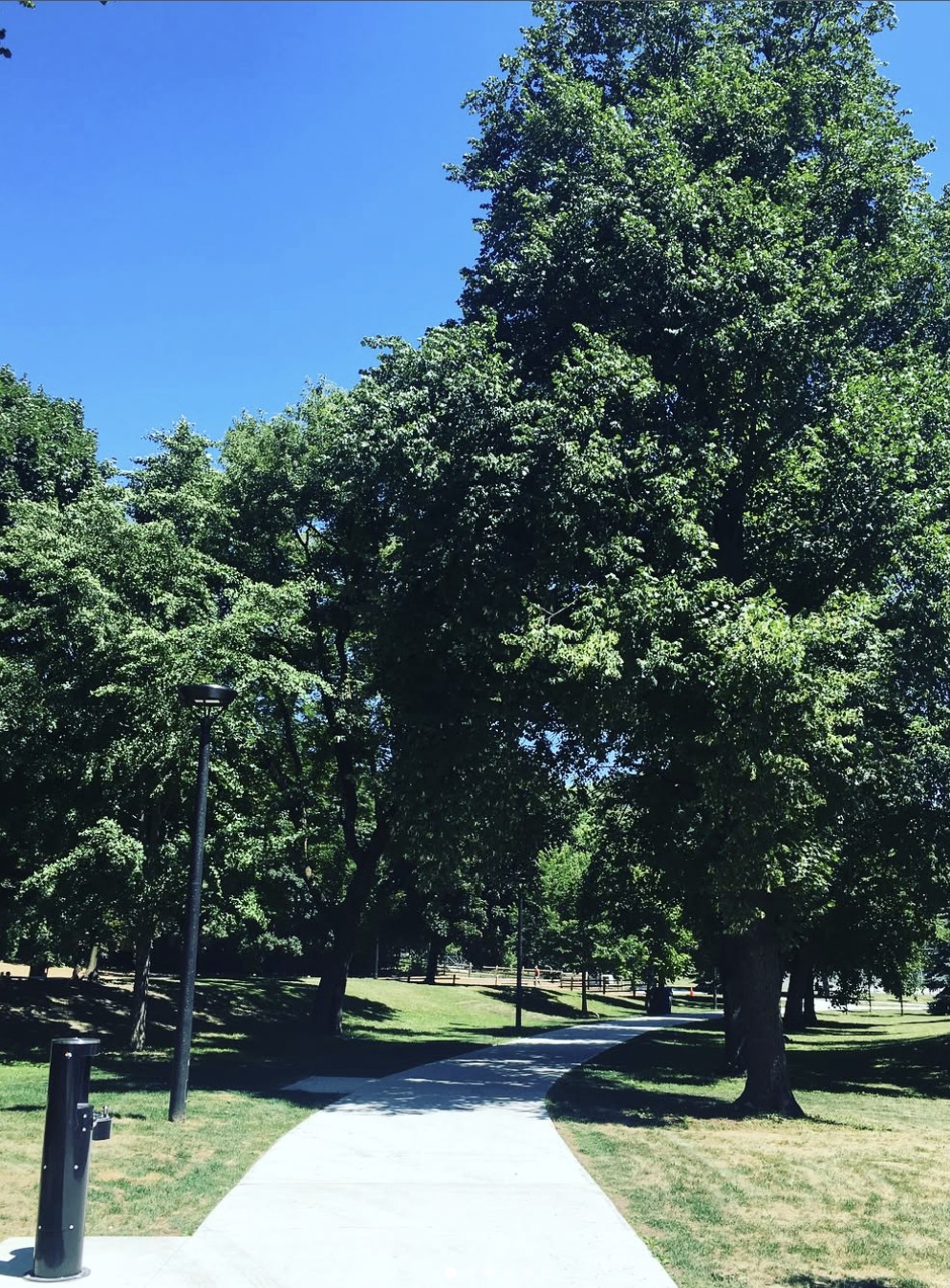 Tree-lined gravel pathway through Ramsden Park on a sunny day