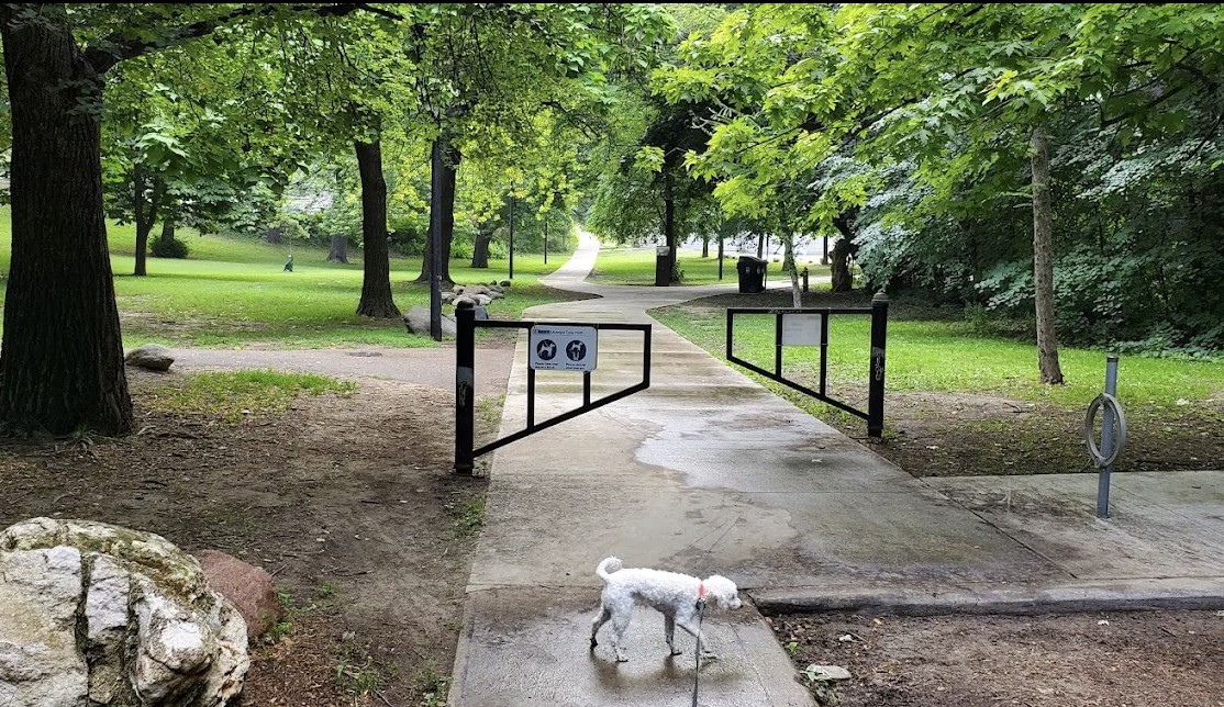 Ramsden Park pathway with an off-leash dog area surrounded by mature trees